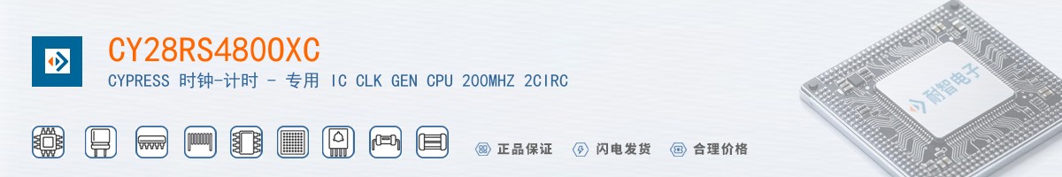 CY28RS480OXC������