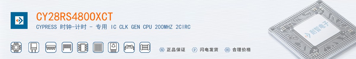 CY28RS480OXCT������