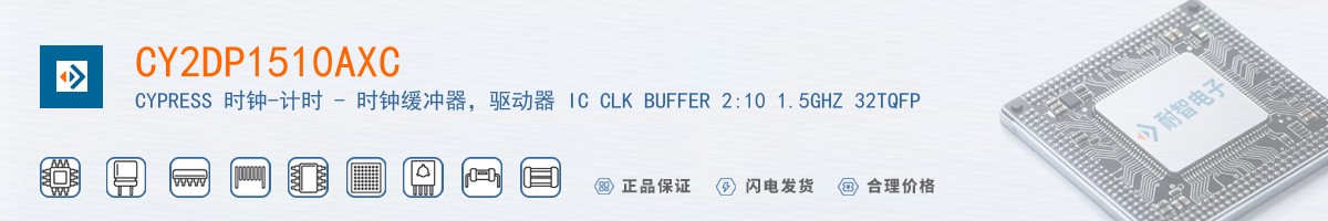 CY2DP1510AXC������