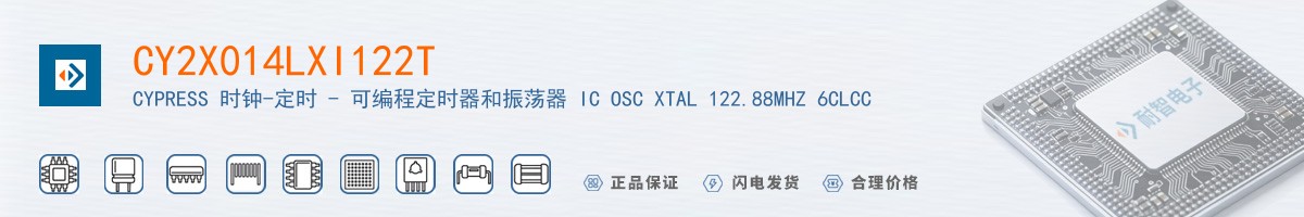 CY2X014LXI122T������