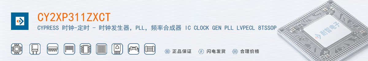 CY2XP311ZXCT������