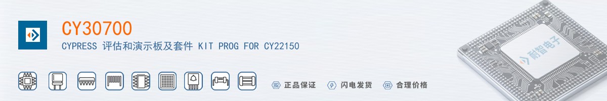 CY30700������