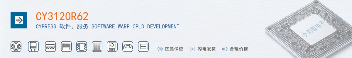 CY3120R62������