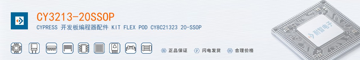 CY3213-20SSOP������