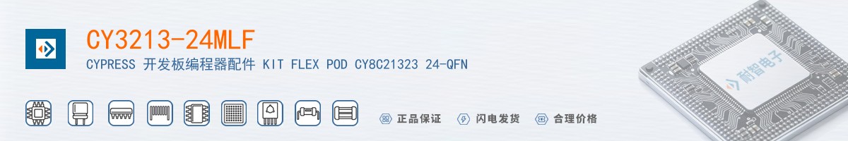 CY3213-24MLF������