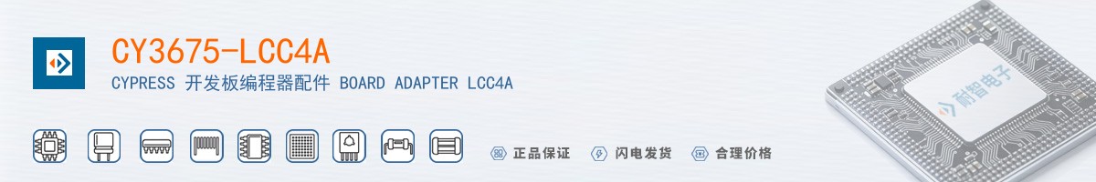 CY3675-LCC4A������