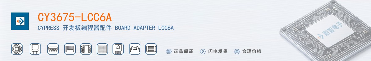 CY3675-LCC6A������