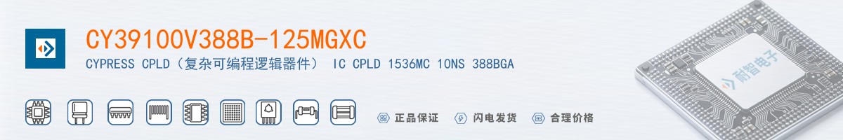 CY39100V388B-125MGXC������