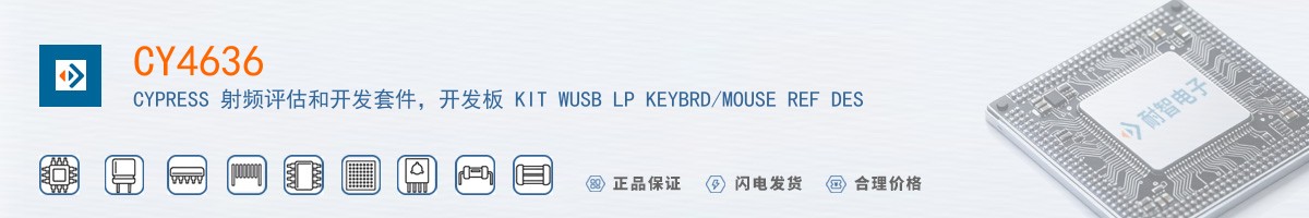 CY4636������