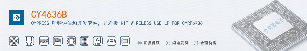 CY4636B������