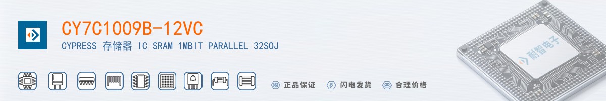 CY7C1009B-12VC������