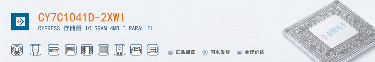 CY7C1041D-2XWI������
