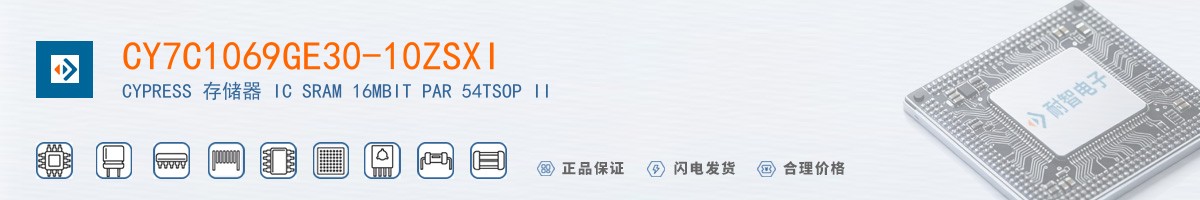 CY7C1069GE30-10ZSXI������