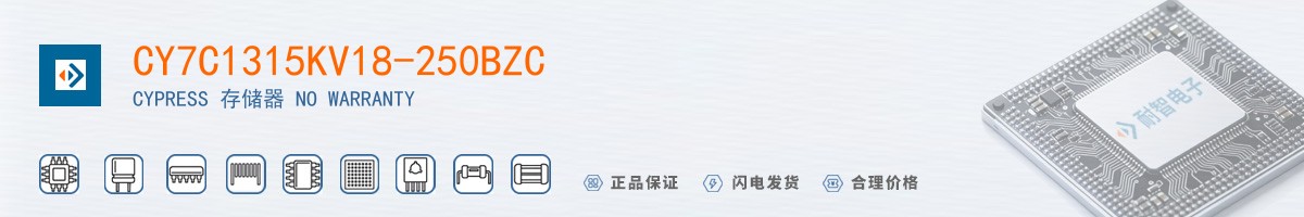 CY7C1315KV18-250BZC������