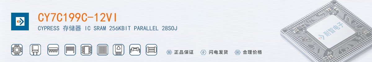 CY7C199C-12VI������