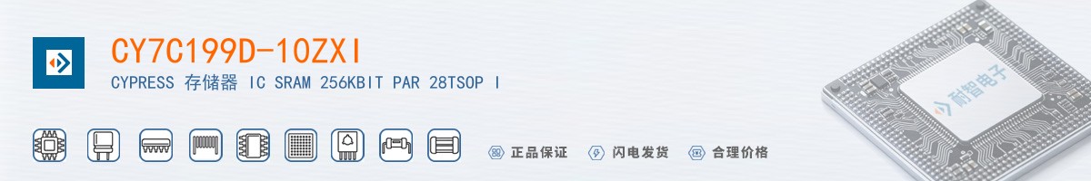 CY7C199D-10ZXI������