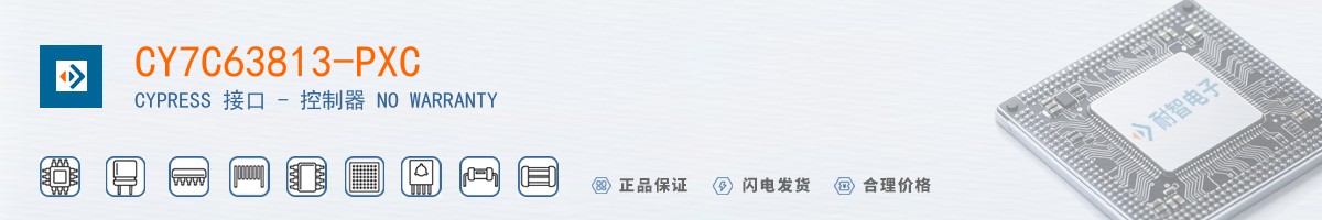 CY7C63813-PXC������