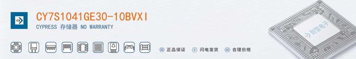 CY7S1041GE30-10BVXI������