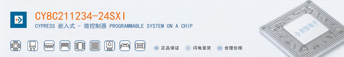 CY8C211234-24SXI������