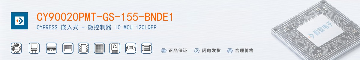 CY90020PMT-GS-155-BNDE1������