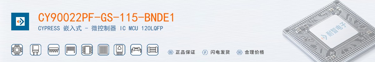 CY90022PF-GS-115-BNDE1������