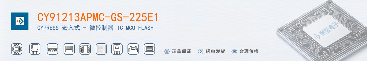 CY91213APMC-GS-225E1������