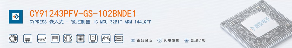 CY91243PFV-GS-102BNDE1������