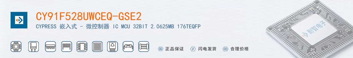 CY91F528UWCEQ-GSE2������