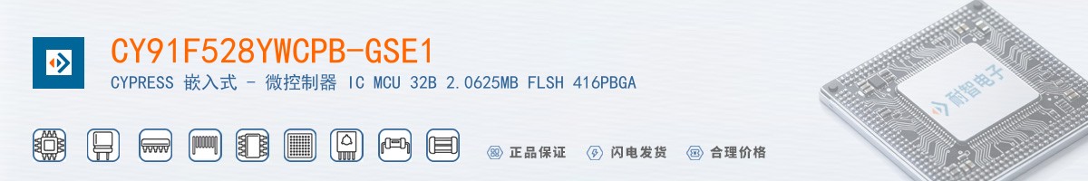 CY91F528YWCPB-GSE1������