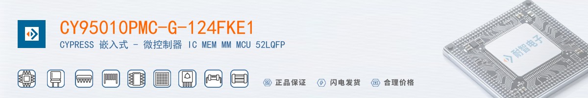 CY95010PMC-G-124FKE1������