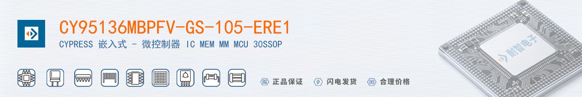 CY95136MBPFV-GS-105-ERE1������