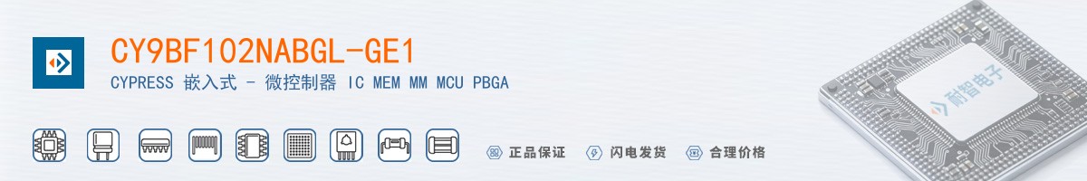 CY9BF102NABGL-GE1������