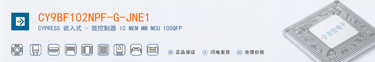 CY9BF102NPF-G-JNE1������