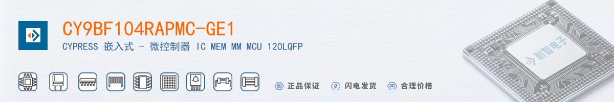 CY9BF104RAPMC-GE1������