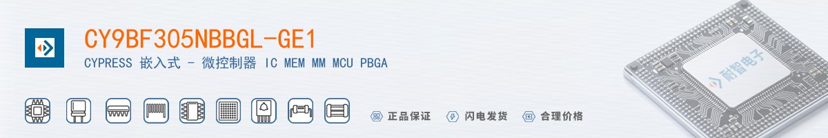 CY9BF305NBBGL-GE1������
