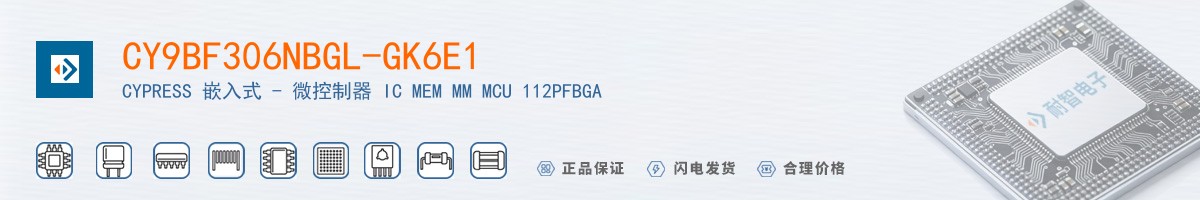 CY9BF306NBGL-GK6E1������
