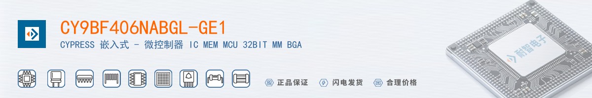 CY9BF406NABGL-GE1������