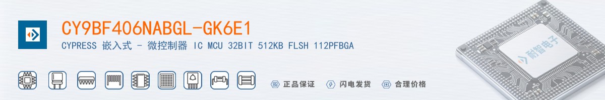 CY9BF406NABGL-GK6E1������