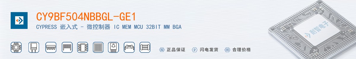 CY9BF504NBBGL-GE1������