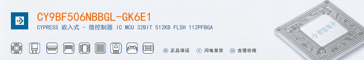 CY9BF506NBBGL-GK6E1������