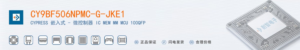 CY9BF506NPMC-G-JKE1������