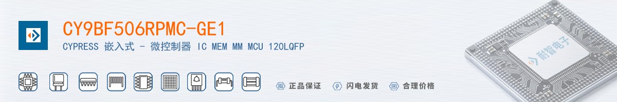 CY9BF506RPMC-GE1������