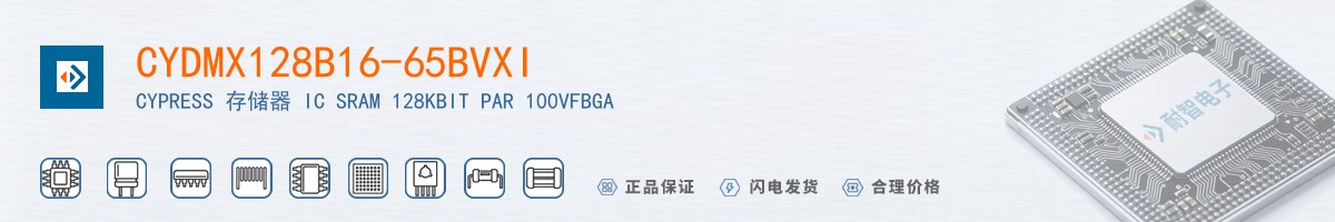 CYDMX128B16-65BVXI������