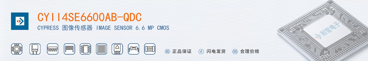 CYII4SE6600AB-QDC������