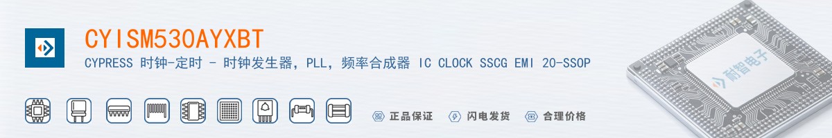 CYISM530AYXBT������