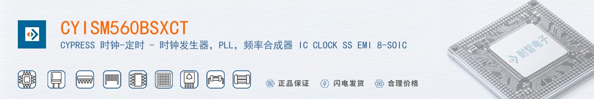 CYISM560BSXCT������