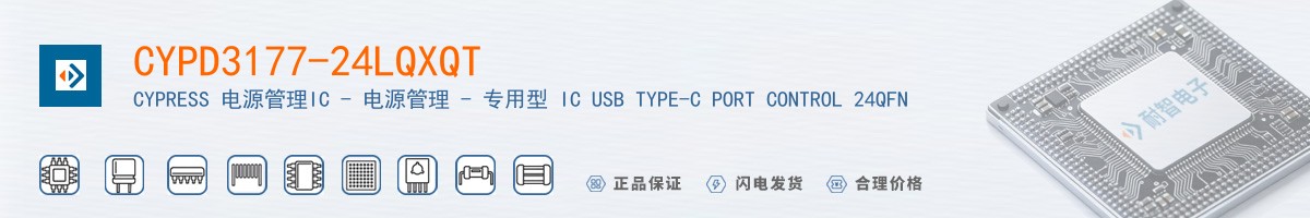 CYPD3177-24LQXQT������