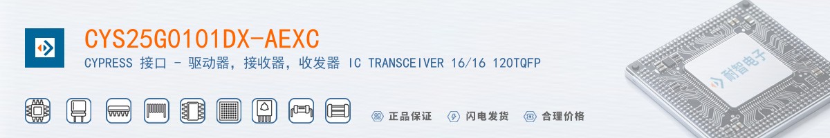 CYS25G0101DX-AEXC������
