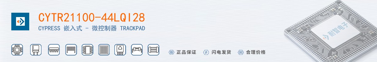 CYTR21100-44LQI28������