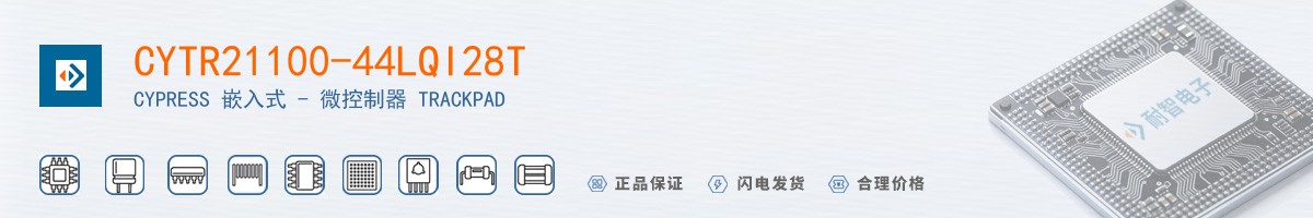 CYTR21100-44LQI28T������